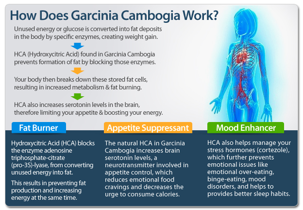 Rapid weight loss. Garcinia cambogia warnings